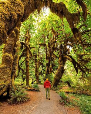 Image post by @nationalparkscollective on Instagram