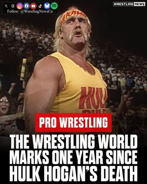 Image post by @wrestlingnewsco on Instagram