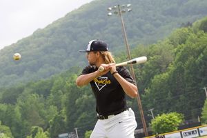 Image post by @steeplecats on Instagram