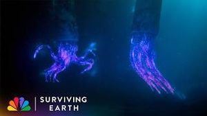 Video post by @nbc on YouTube