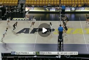 Image post by @ospreysvb on Instagram