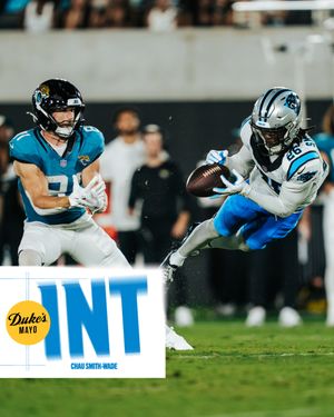 Image post by @panthers on Instagram
