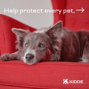 Image post by @kiddefiresafety on Instagram