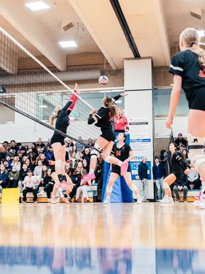 Image post by @lordsvolleyball on Instagram