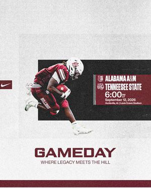 Image post by @aamufb on Instagram
