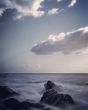 Image post by @cristan.nature.photography on Instagram