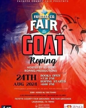 Image post by @fayettecofairtx on Instagram