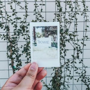 Image post by @thebowiesa on Instagram