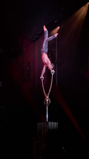 Image post by @madapple.cirquedusoleil on Instagram