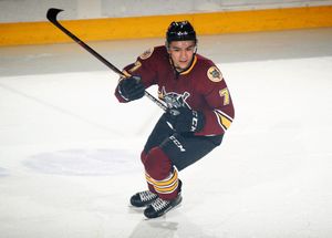 Image post by @Chicago_Wolves on Twitter