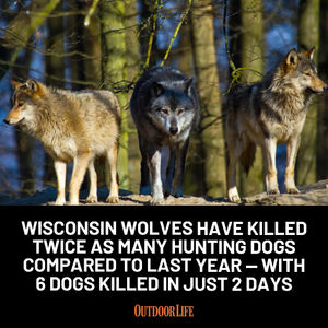 Image post by @outdoor_life on Instagram