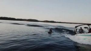 Video post by @MuskokaBoatGallery on Facebook