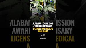 Video post by @aldotcom on YouTube