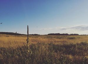 Image post by @themainemag on Instagram