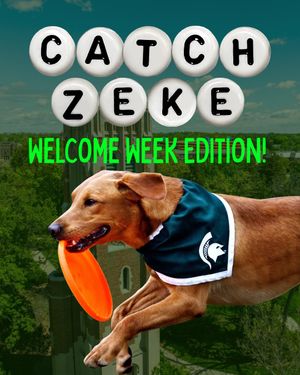 Image post by @zekethewonderdog_ on Instagram