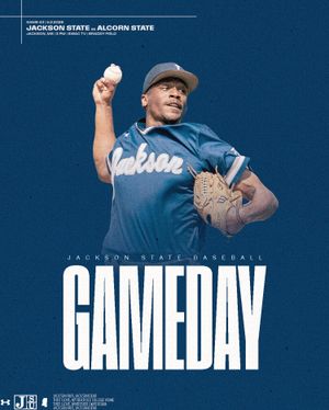 Image post by @gojsutigers on Instagram