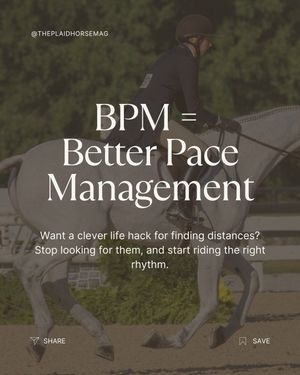 Image post by @theplaidhorsemag on Instagram