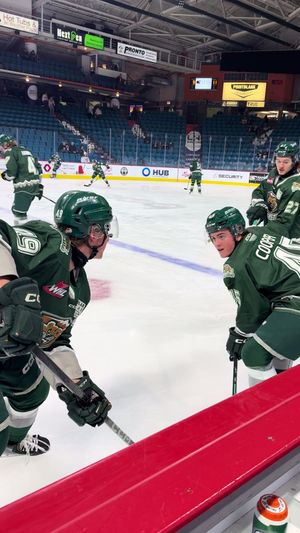 Video post by @whleverett_tipstok on TikTok