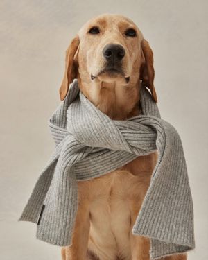 Image post by @trueclassic on Instagram