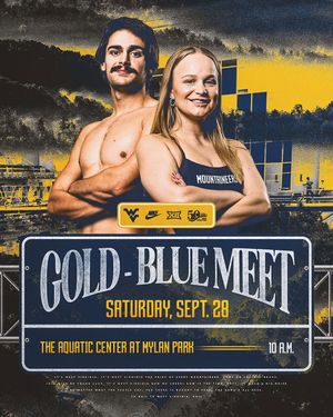 Image post by @wvuswimdive on Instagram