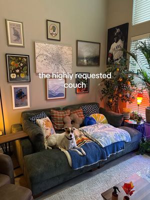 Image post by @thehouseofjulius on Instagram