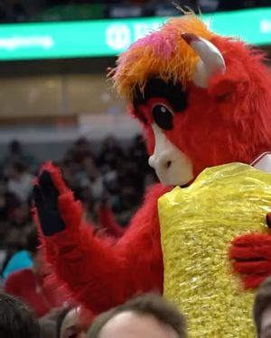 Image post by @bennythebull on Instagram