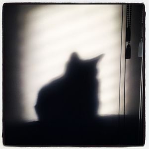 Image post by @jasenvinlove on Instagram
