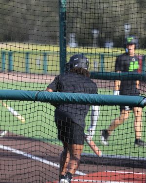 Image post by @usfbaseball on Instagram