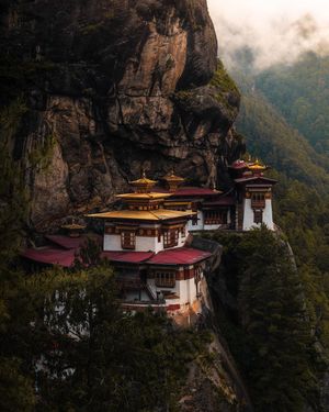 Image post by @bill.yao on Instagram