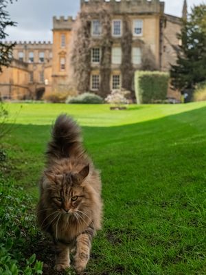 Image post by @oxford_uni on Instagram