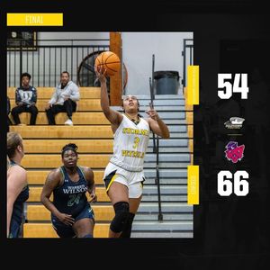 Image post by @gopetrelswbb on Instagram