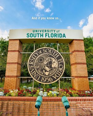 Image post by @usouthflorida on Instagram