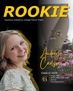 Image post by @gustavusdanceteam on Instagram
