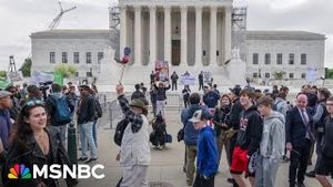 Video post by @msnbc on YouTube