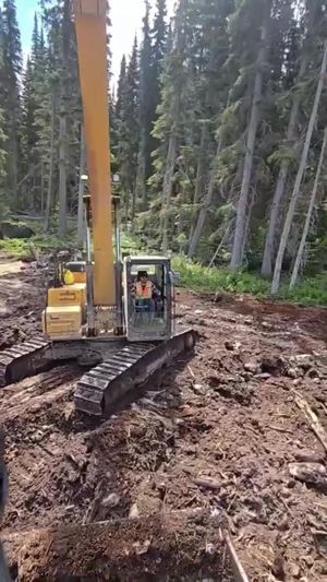 Video post by @thepipelinelife on TikTok