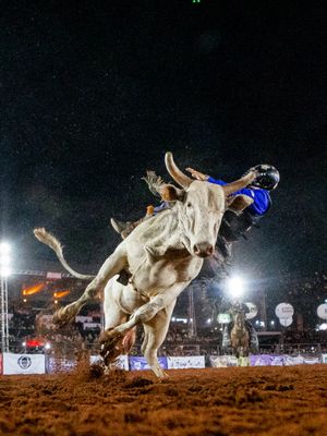 Image post by @pbrbrazil on Instagram