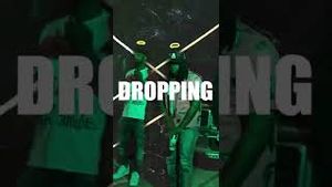 Video post by @fraisworld on YouTube