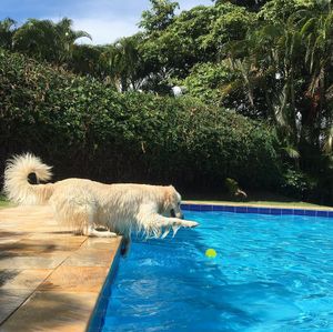 Image post by @mikethewhitegolden on Instagram