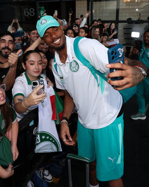 Image post by @palmeiras on Instagram