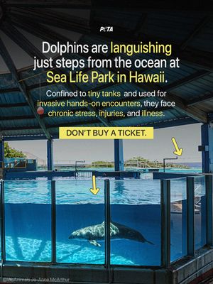 Image post by @peta on Instagram