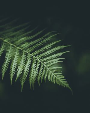 Image post by @kszczuka on Instagram