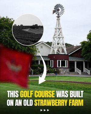 Image post by @lagolf on Instagram