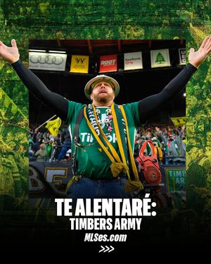 Image post by @mlses on Instagram