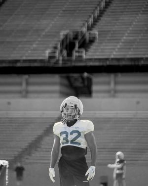 Image post by @zipsfb on Instagram