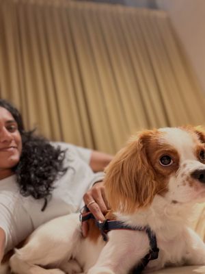 Image post by @pvsindhu1 on Instagram