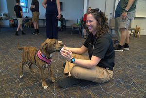 Image post by @myclearwater on Instagram