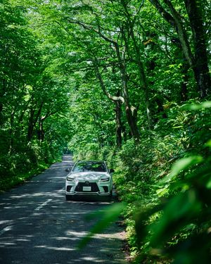 Image post by @discoverlexus on Instagram