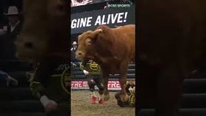 Video post by @pbr on YouTube