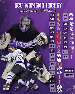 Image post by @lopeswhockey on Instagram