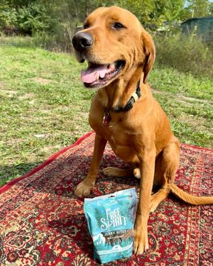 Image post by @triumphpetfood on Instagram